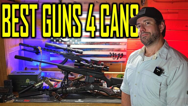Best Guns For Suppressors