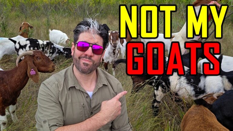 I Failed at Homesteading. Here's Why.